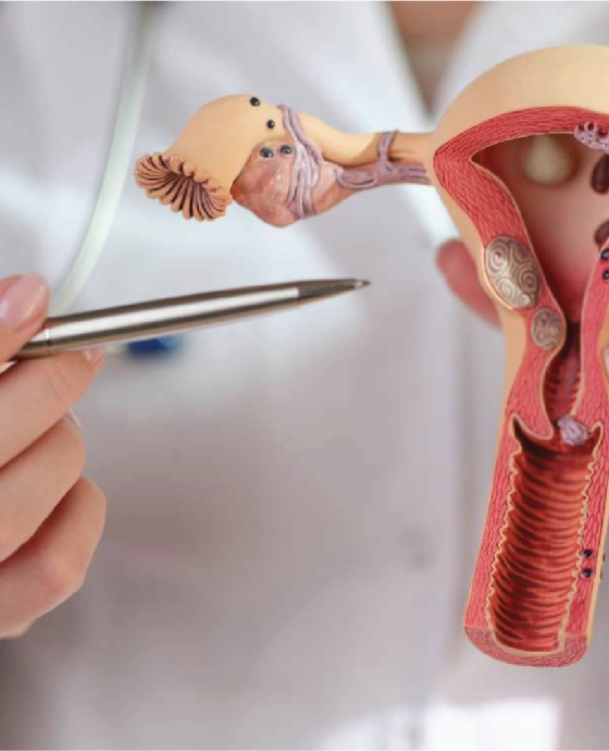 Endometrial cancer