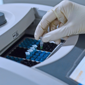Uji DNA Babi (Porciner) dengan Real-Time PCR