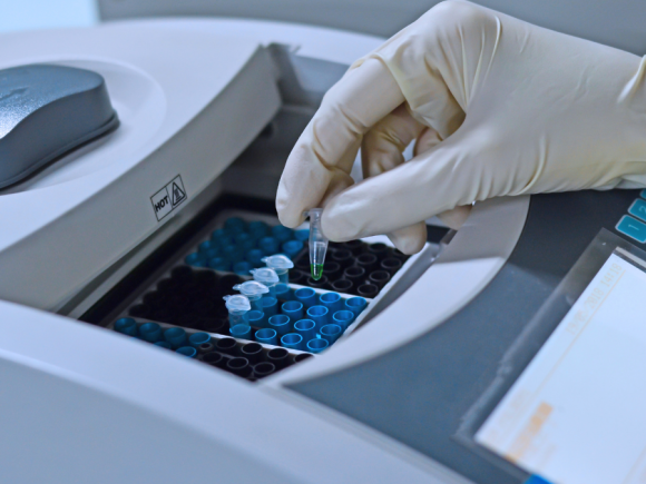 Uji DNA Babi (Porcine detection): Jaminan  Kehalalan Produk