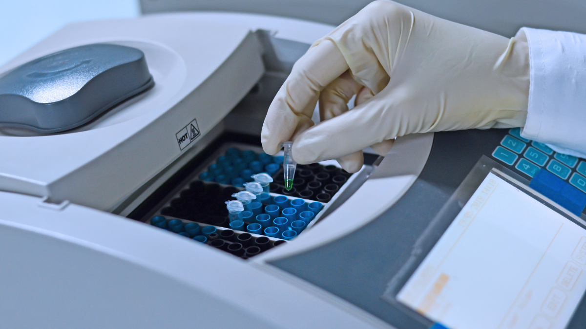 Uji DNA Babi (Porciner) dengan Real-Time PCR